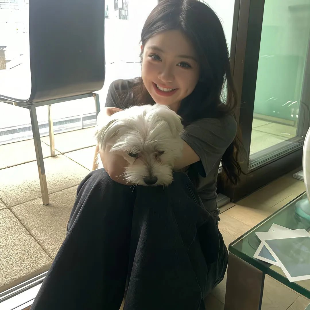 饿犬蓝调