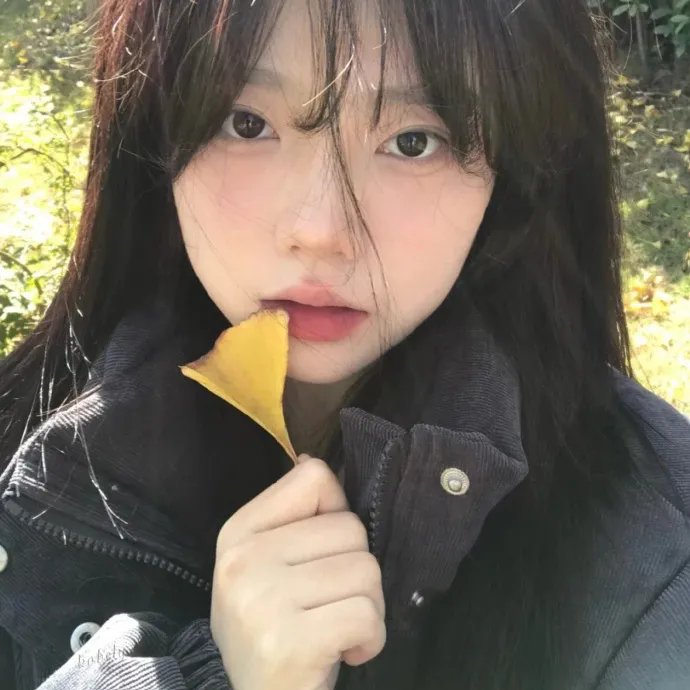 丛林之地